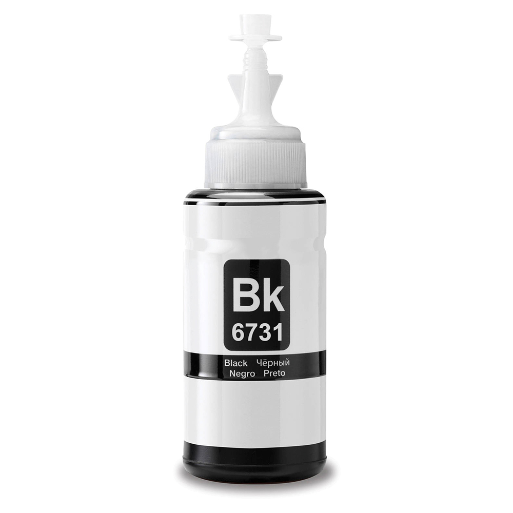Huismerk Epson 673 (T6731) zwart